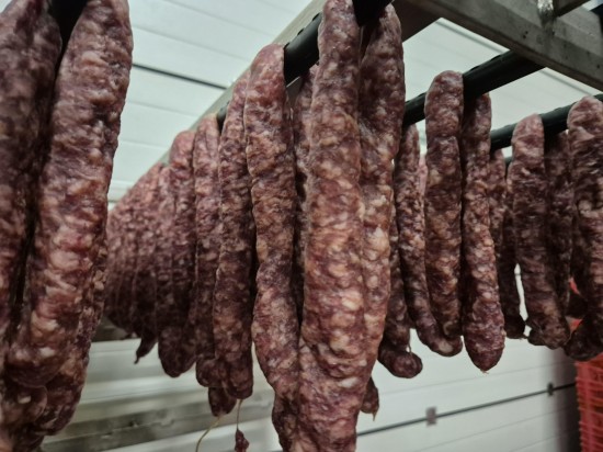 Ec38cd8b 0b53 4850 b1e2 f81706232c44 5